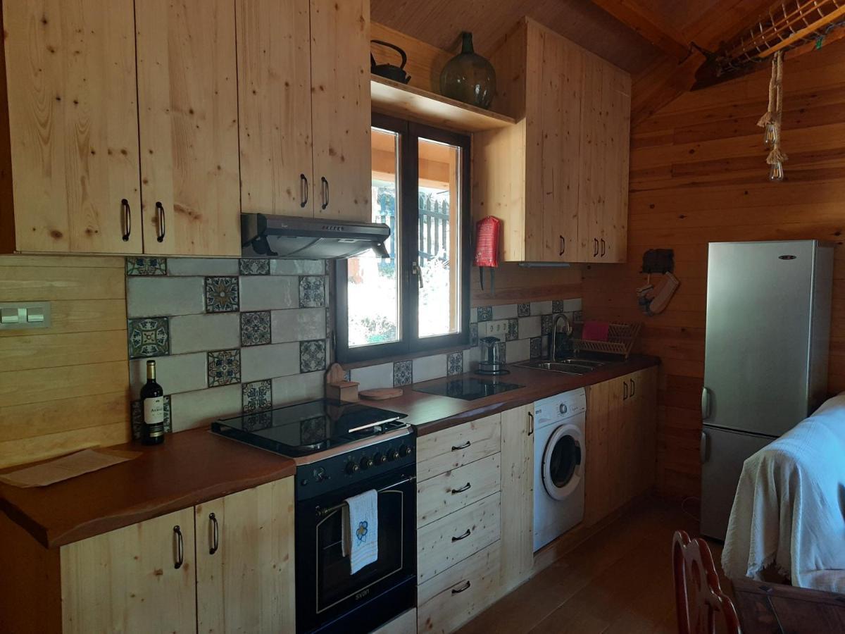 Rustic In The Woods/cabana En El Bosque