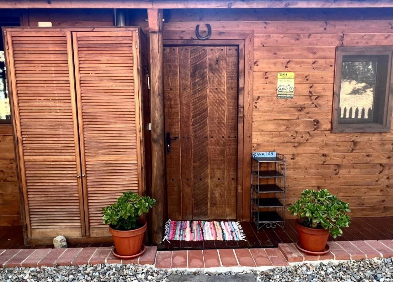 Rustic In The Woods/cabana En El Bosque Chalet *