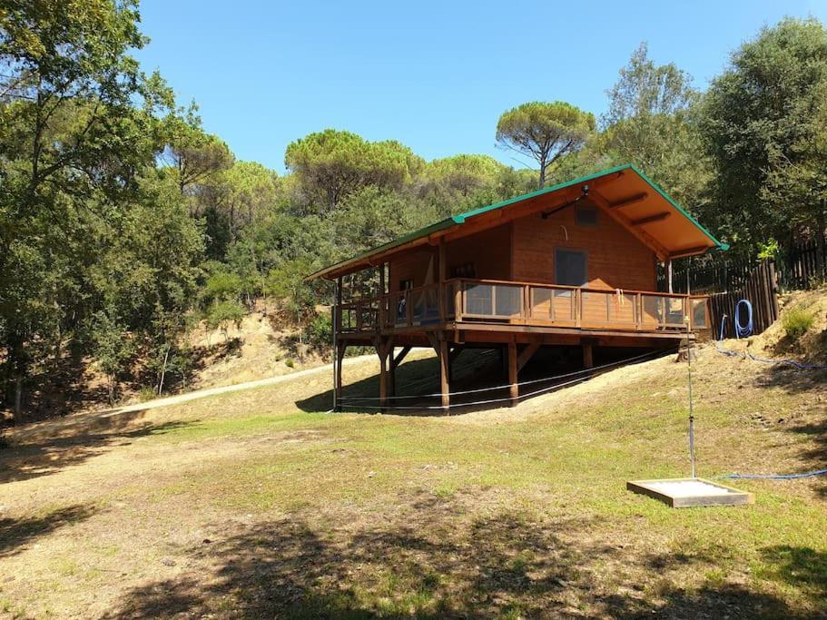 Rustic In The Woods/cabana En El Bosque Chalet Amer
