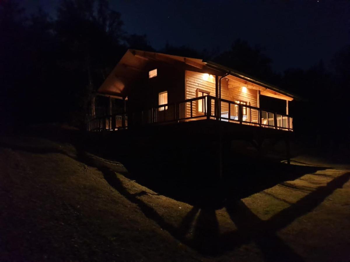 Rustic In The Woods/cabana En El Bosque